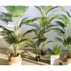仿真植物人造棕扇葵树假棕竹观音竹棕榈竹装饰落地花园布置